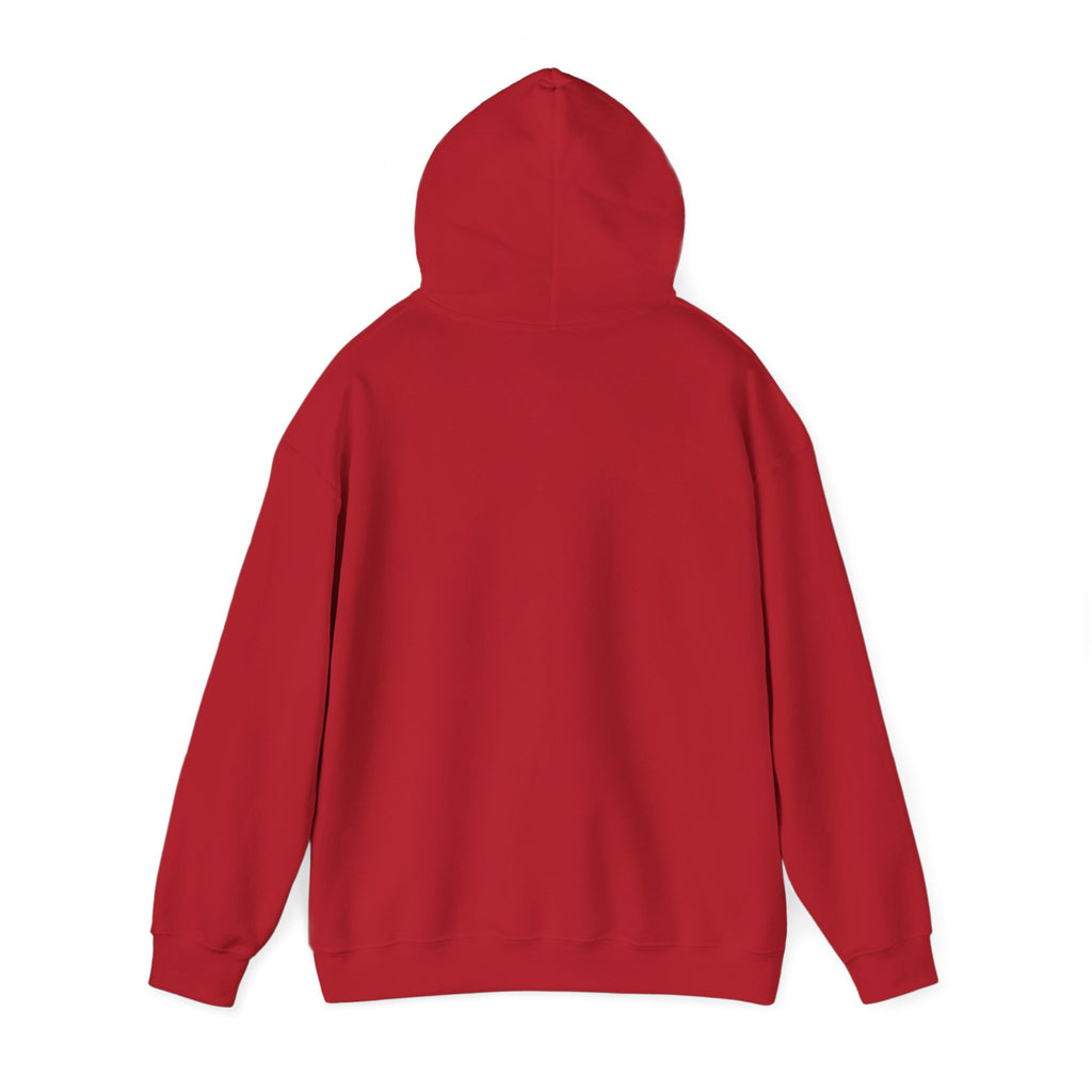 Drip Heaven Lord – Crown & Wings Logo Hoodie (Multiple Colors Available)
