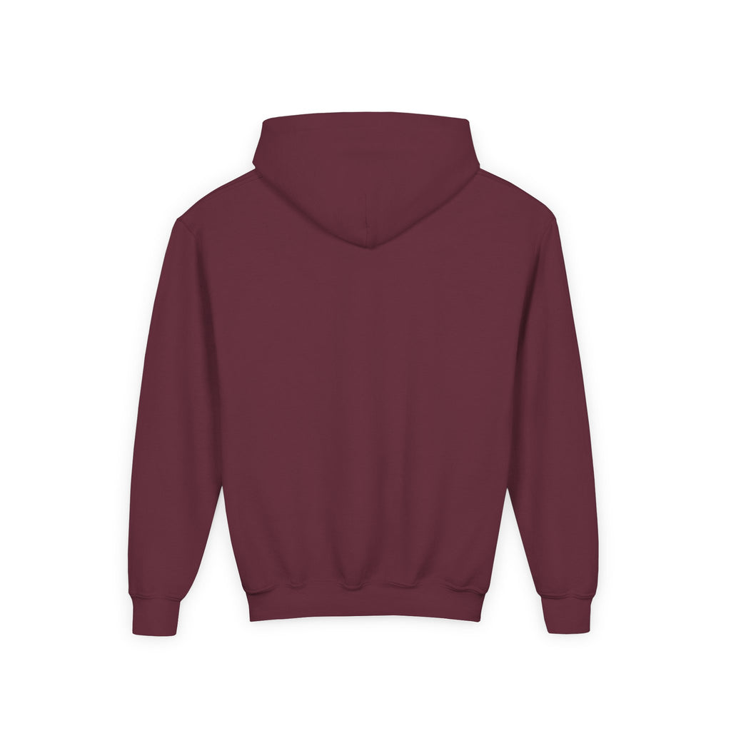 Drip Heaven Lord – Girls’ Crown & Wings Youth Hoodie
