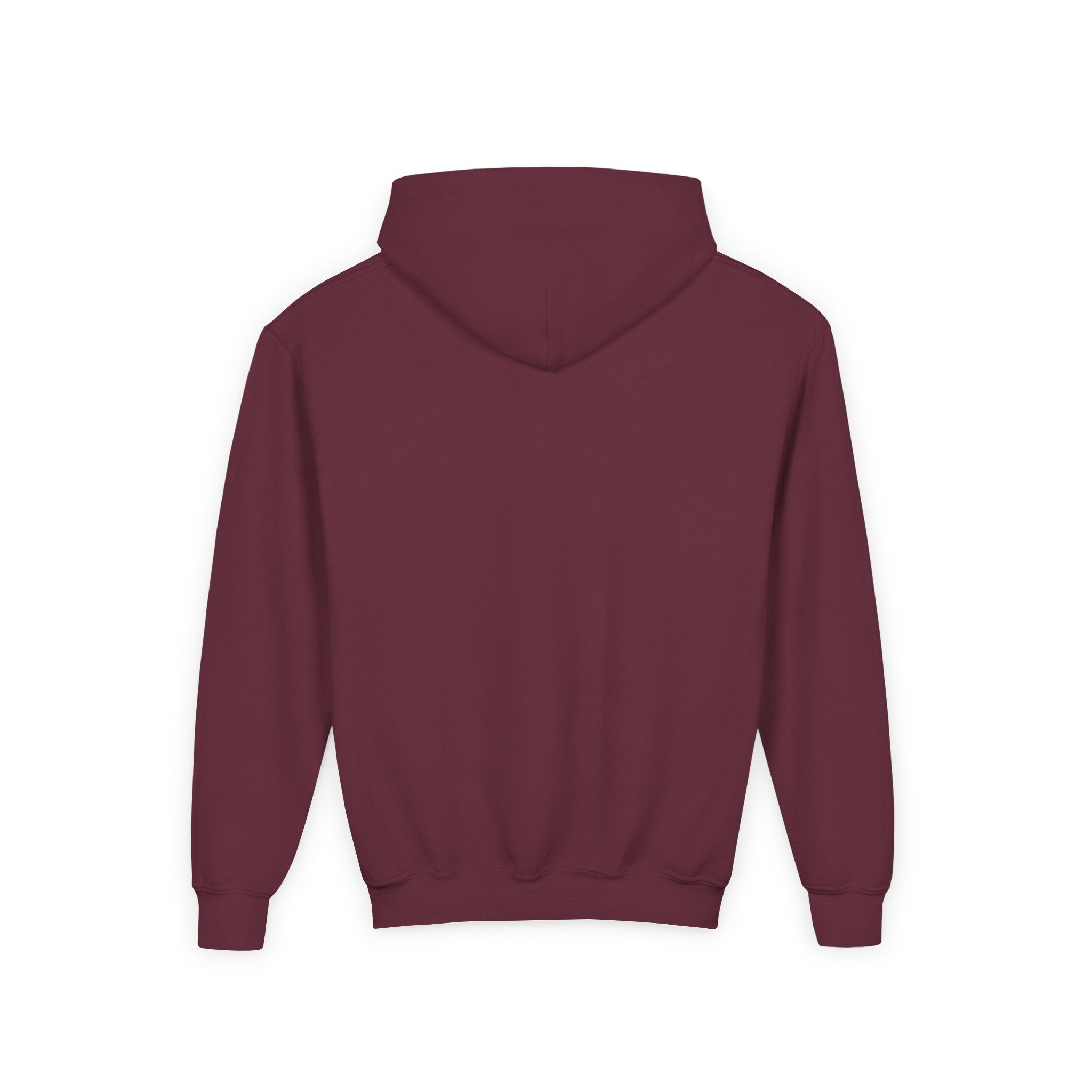 Drip Heaven Lord – Girls’ Crown & Wings Youth Hoodie